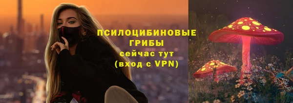 мяу мяу мука Горно-Алтайск