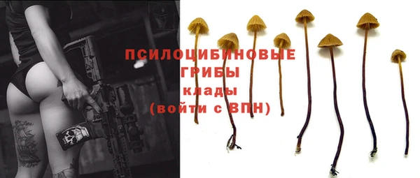spice Горнозаводск