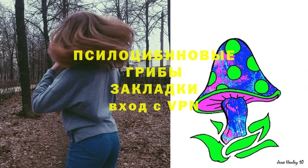 альфа пвп Горняк