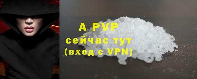 мяу мяу мука Горно-Алтайск