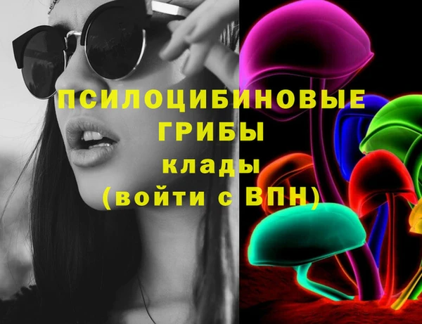 spice Горнозаводск