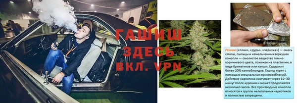 мяу мяу мука Горно-Алтайск
