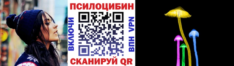 Псилоцибиновые грибы Cubensis блэк спрут ссылки Находка купить наркоту